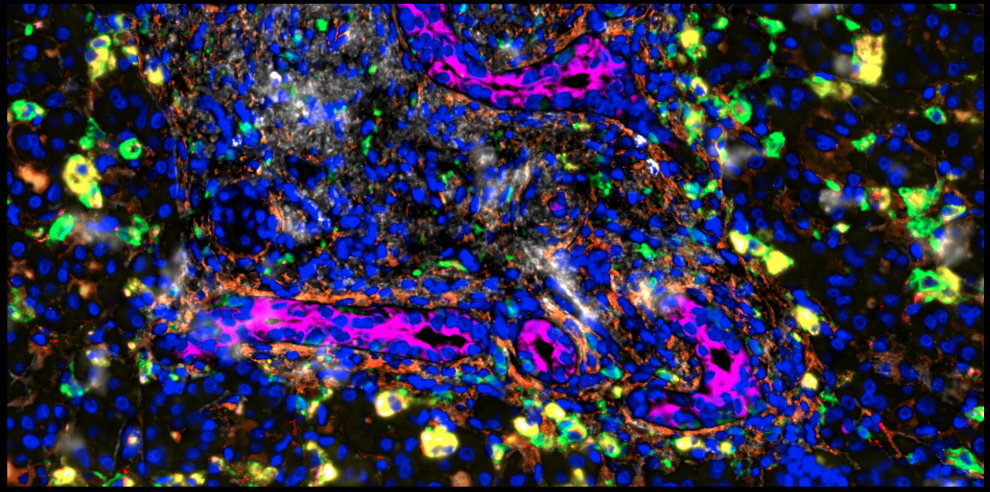 My (current) research vision